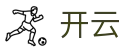开云KaiYun · 官方平台